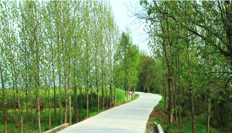 江西信豐縣工業(yè)園科之光路（緯二路）新建大道、產(chǎn)業(yè)大道北段一期工程設(shè)計(jì)、施工總承包（EPC）